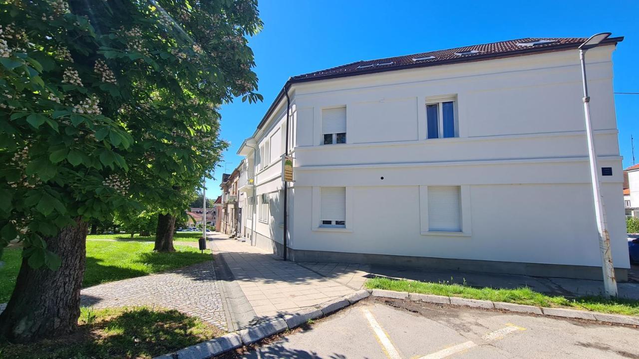 Rooms With A Parking Space Daruvar, Bjelovarska - 18842 Bagian luar foto